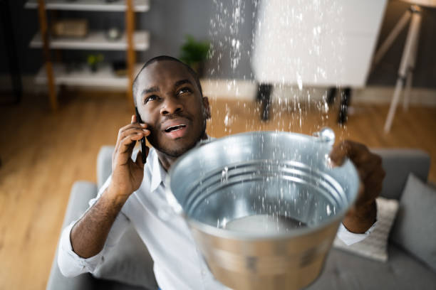 Best Local water damage restoration  in Ardsley, NY