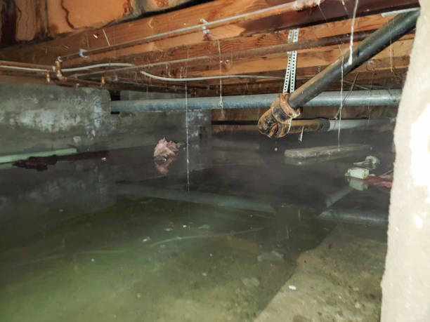 Best Flood restoration services  in Ardsley, NY