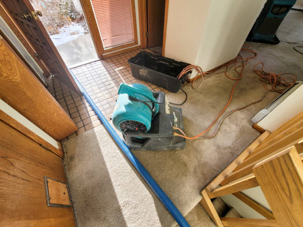 Best Water damage restoration near me  in Ardsley, NY