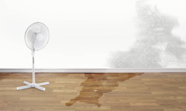Best Ceiling water damage repair  in Ardsley, NY
