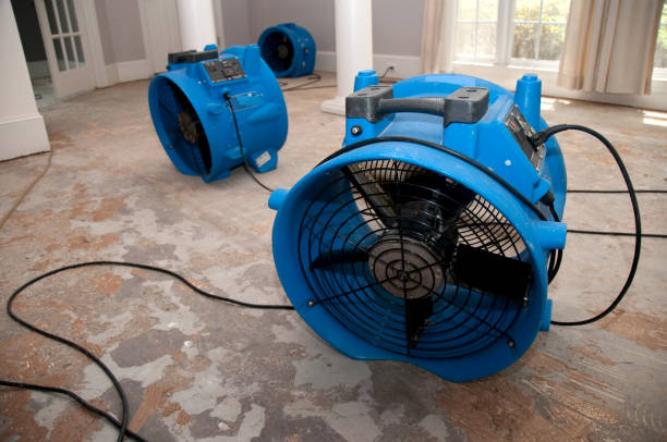 Best Water damage repair service  in Ardsley, NY
