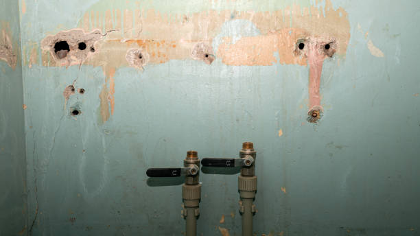 Best Carpet water damage restoration  in Ardsley, NY