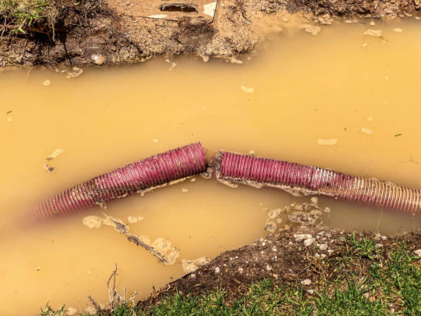 Best Water damage contractors near me  in Ardsley, NY