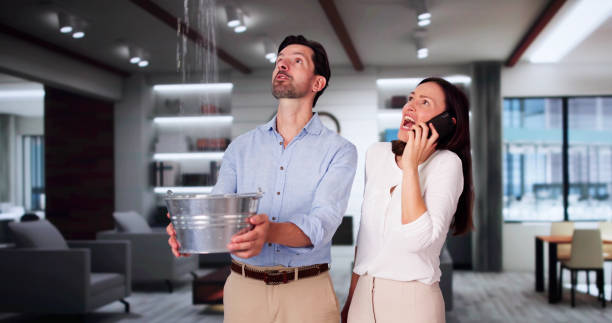 Best Water damage restoration experts  in Ardsley, NY