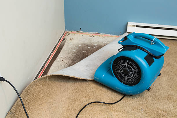 Best Commercial water damage restoration  in Ardsley, NY