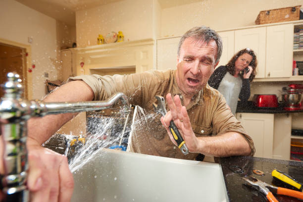 Best Flooded house restoration  in Ardsley, NY